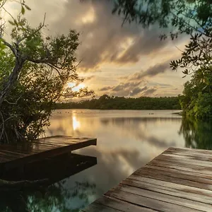 Yaxchen & Cenote , Tulum Mexique